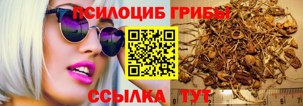 Галлюциногенные грибы Cubensis  Вход с VPN  Белгород  Псилоцибиновые грибы мухоморы 