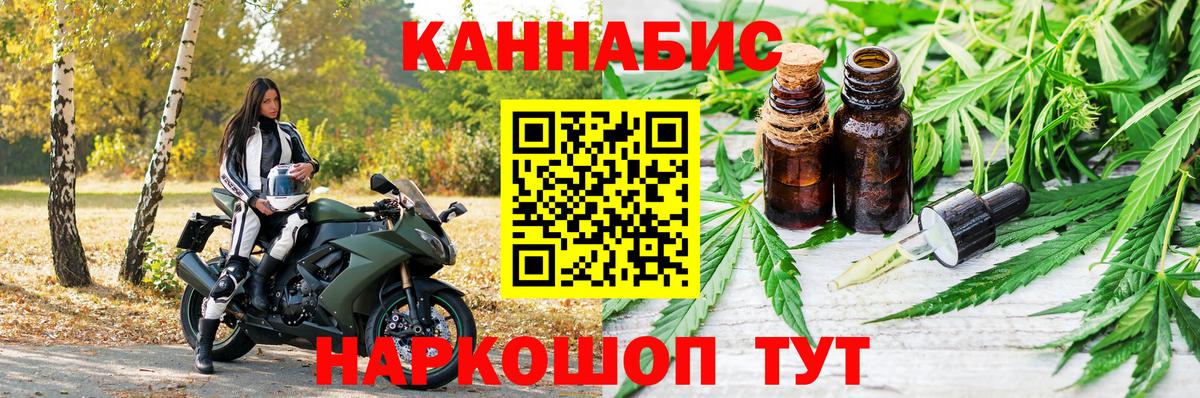 Бошки Шишки план Белгород